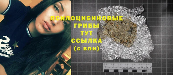 ГАЛЛЮЦИНОГЕННЫЕ ГРИБЫ Россошь